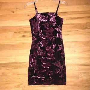 FOREVER21 velvet purple and black dress